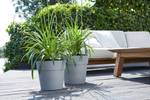 vibia straight round 40cm living concrete